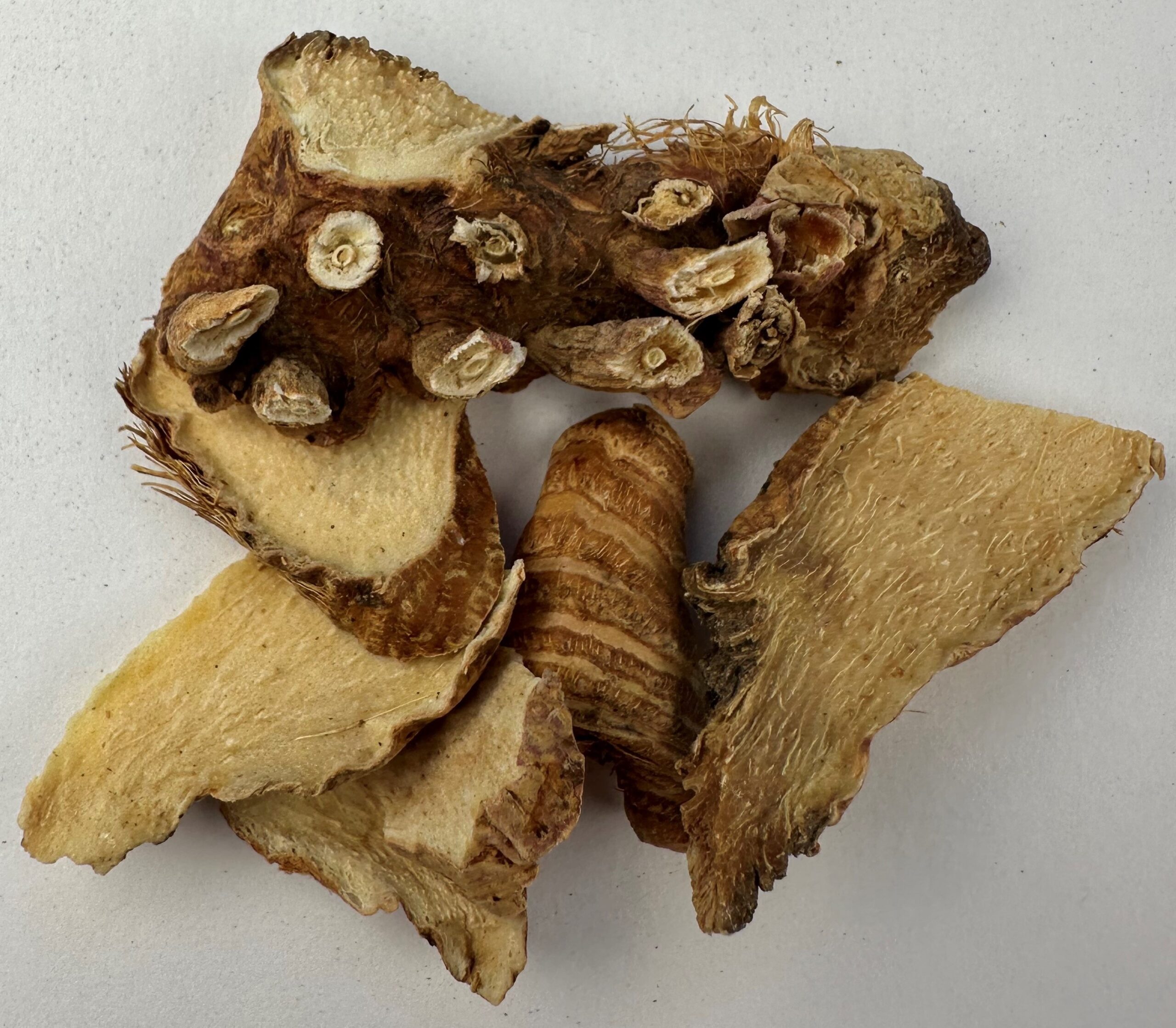 Picture of Anemarrhena Rhizome or zhi mu in Chinese