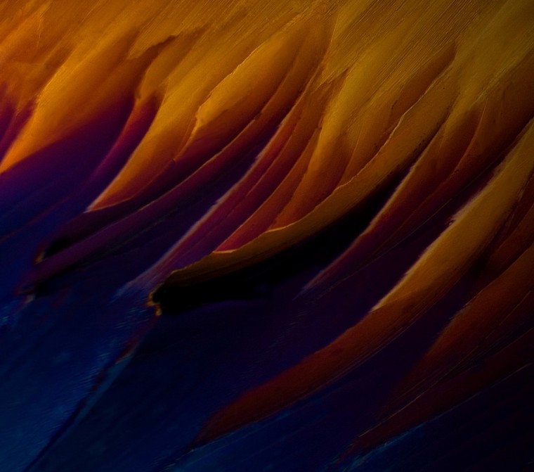 Transmitted light and polarizing filters are used to provide coloration to transparent crystals in the amino acid Cysteine