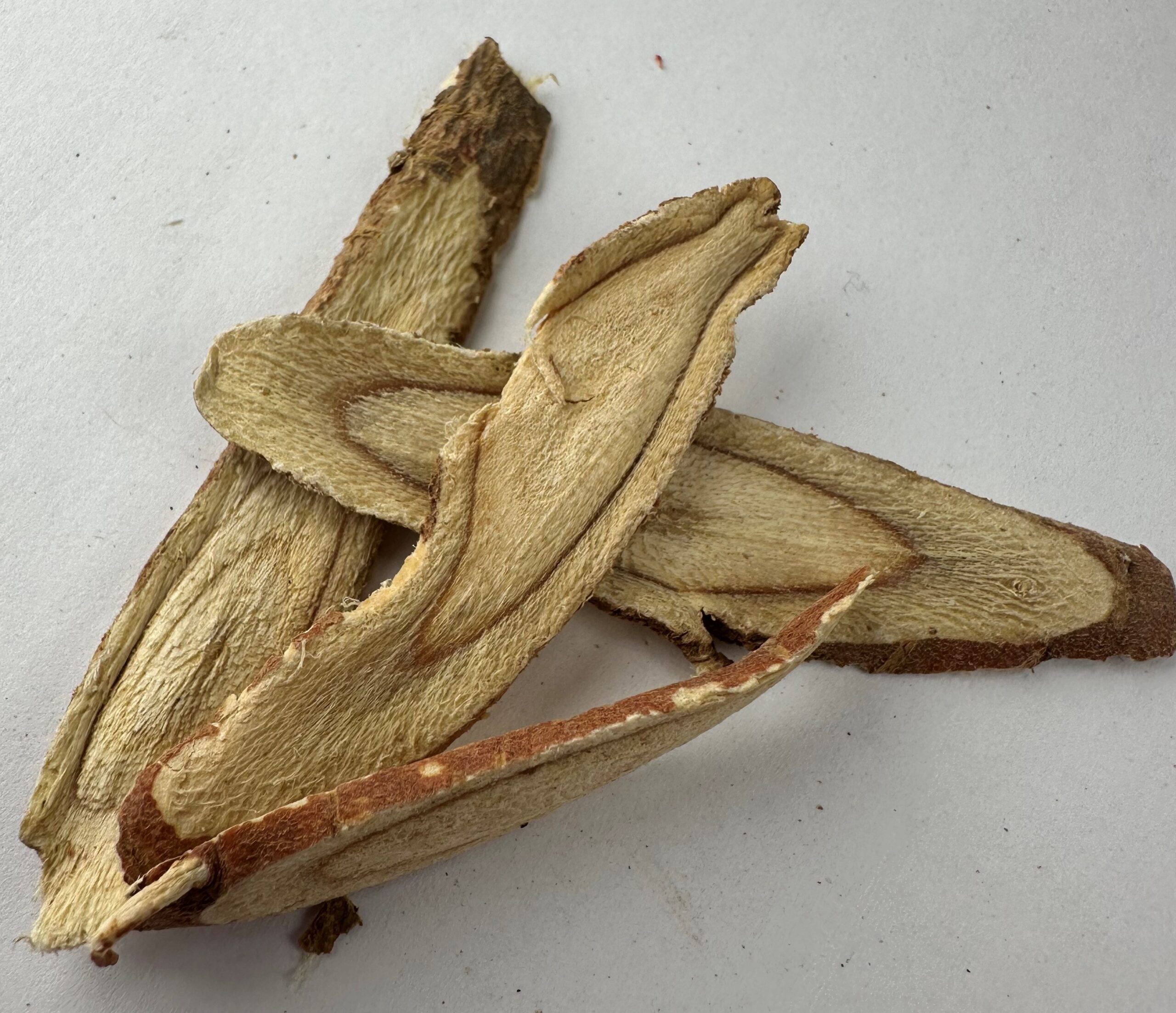 Picture of dried licorice