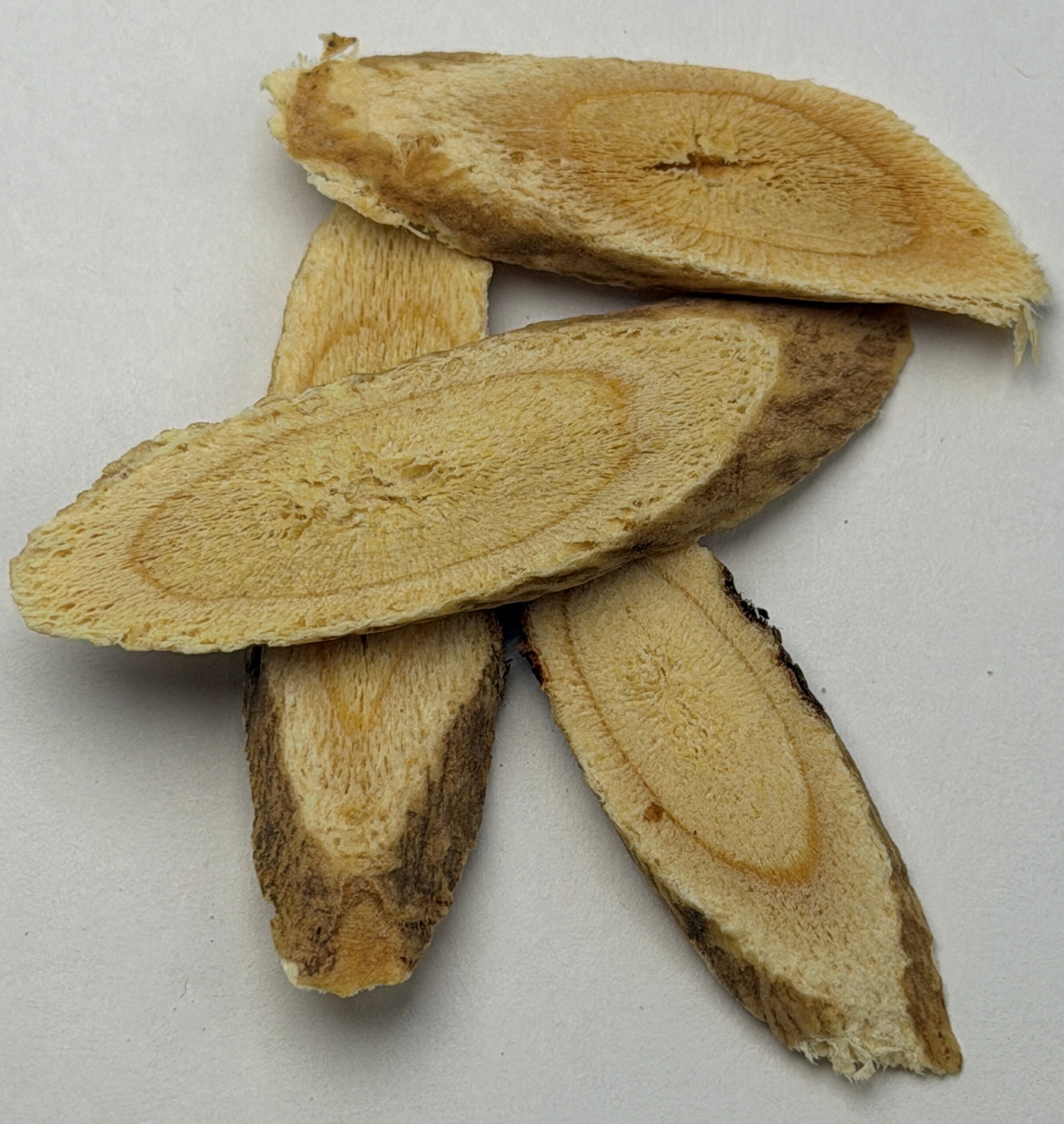 Purple Coneflower (Echinacea purpurea), Huang Qi (Astragalus Root), and Bai Hu Tang (White Tiger Decoction) Live 7-12-26 1pm pdt - Image 3